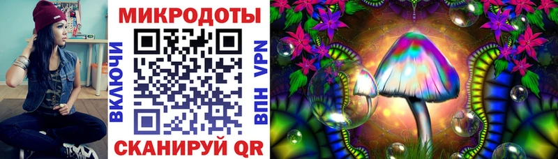 Псилоцибиновые грибы Psilocybe hydra сайт Лабинск