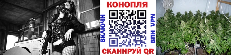 Бошки Шишки SATIVA & INDICA  Лабинск 